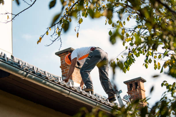 Best Storm Damage Roof Repair  in Howard Lake, MN