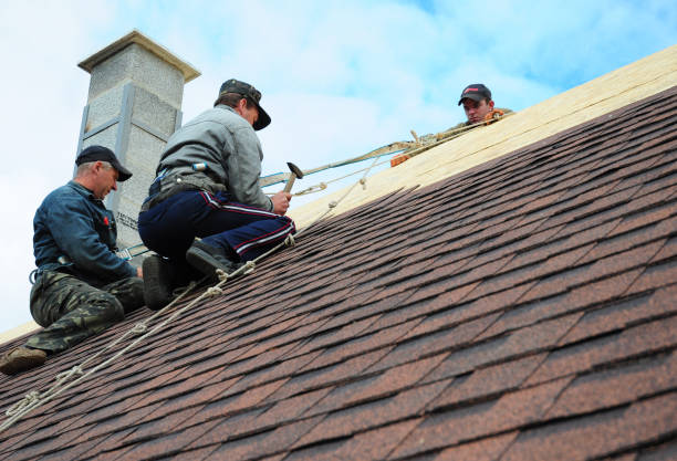 Best Roof Maintenance Services  in Howard Lake, MN